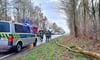 Nur wenige Stunden vor der Jahresversammlung waren Osterburger Feuerwehr-Einsatzkräfte an der B 189, Höhe Am Mühlenberg, im Einsatz. Dort mussten sie einen umgestürzten Baum beseitigen. 