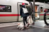 Kunden der Deutschen Bahn können Fahrkarten für Hunde ab sofort auch als Online-Tickets kaufen, nicht mehr nur auf Papier.