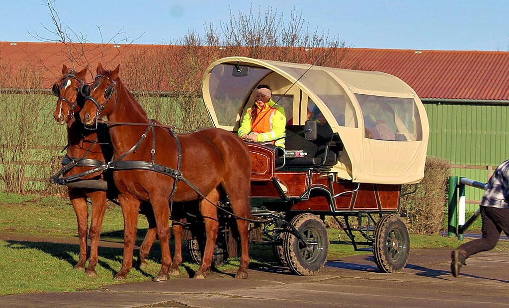 Besonders für die Kinder war der Planwagen mit den zwei großen Pferden, der die Wandertour begleitete, natürlich ein Höhepunkt.