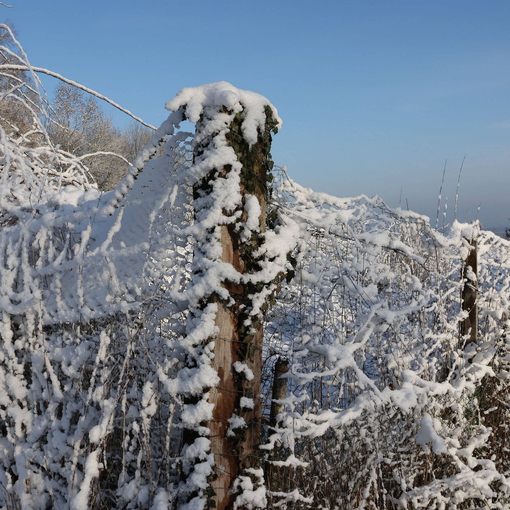 Auch der Winter lädt zu ausgiebigen Spaziergängen ein.