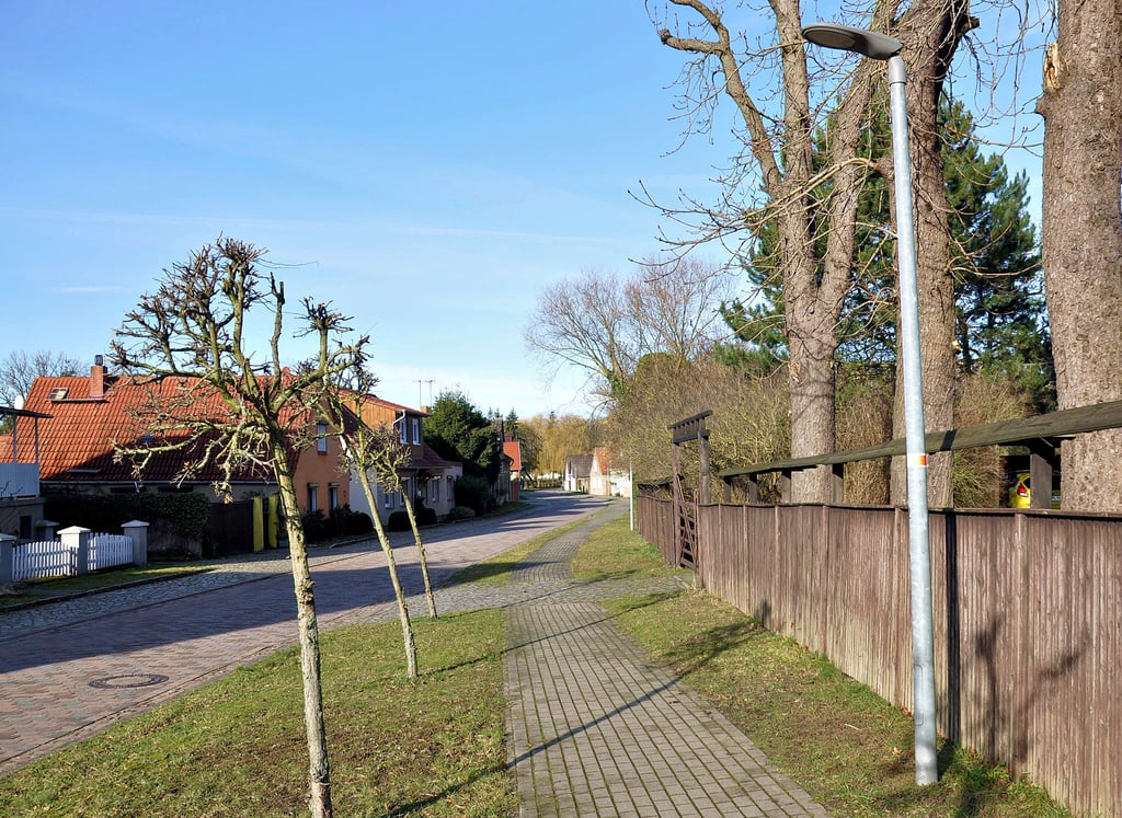 Blick auf eine Lampe an der Straße Alt Walsleben.