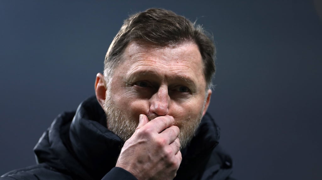 Ralph Hasenhüttl könnte auch die TSG Hoffenheim übernehmen.