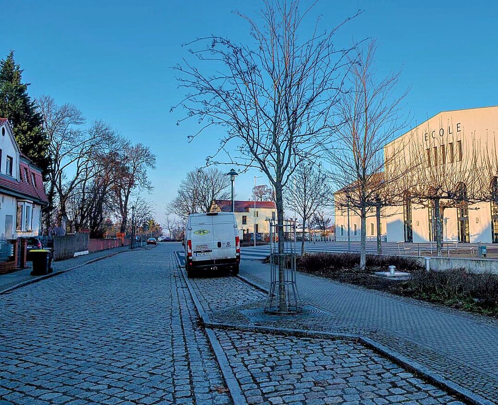 Am Ecole-Gymnasium fahren Eltern und Schulbusse bereits freiwillig nur in eine Richtung.