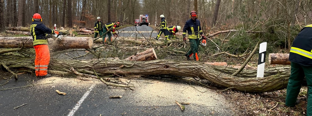 Umgestürzte Bäume haben eine Straße blockiert. Die Feuerwehr ist im Einsatz.