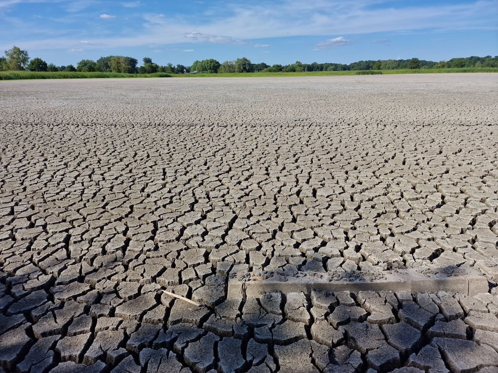 Als Folge der Klimakrise trocknen ganze Teiche in Brandenburg aus.