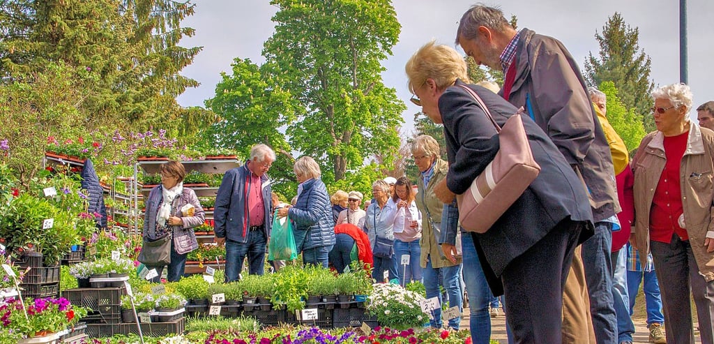 Der Bunte Markt in Möser wird jährlich am 1. Mai vom Heimatverein der Gartenstadt Möser organisiert. Jetzt sucht der Verein Unterstützer und Ideengeber für weitere Veranstaltungen.