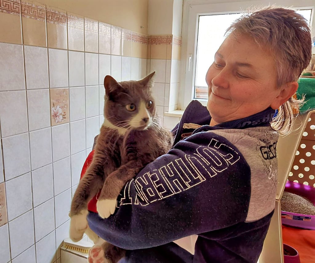 Tierheimmitarbeiterin Birgit Sorge mit ihrem Sorgenkind: Kater Nicki benötigt dringend eine OP.