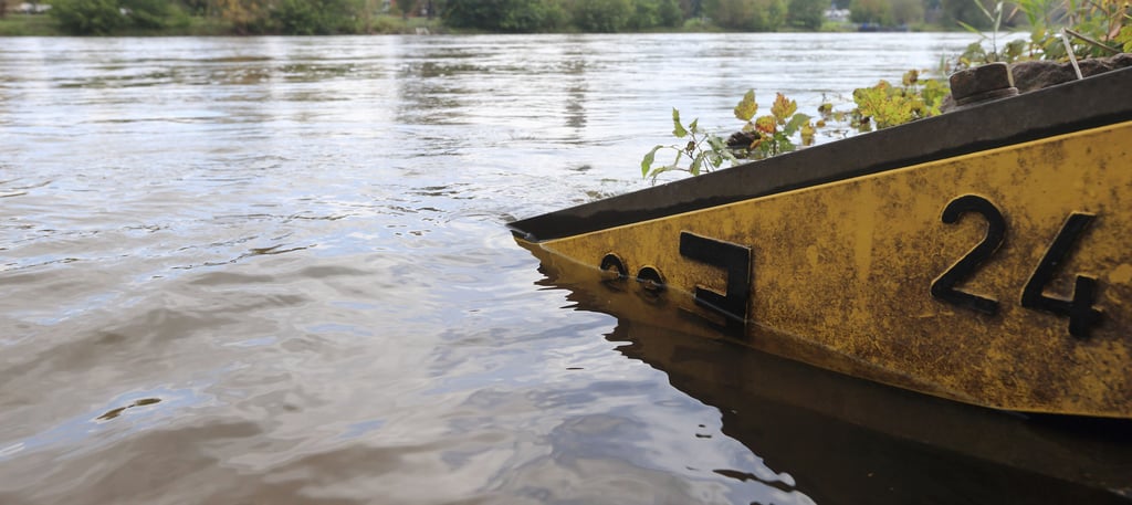 Eine Messlatte des Landesamtes für Hochwasserschutz ragt 2014 in Magdeburg in die Elbe.