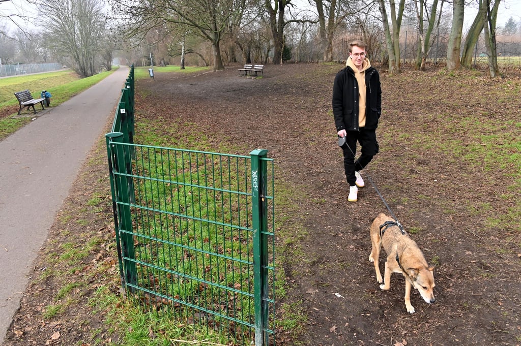 Die Hundewiese an der Schrote in Magdeburg-Stadtfeld.