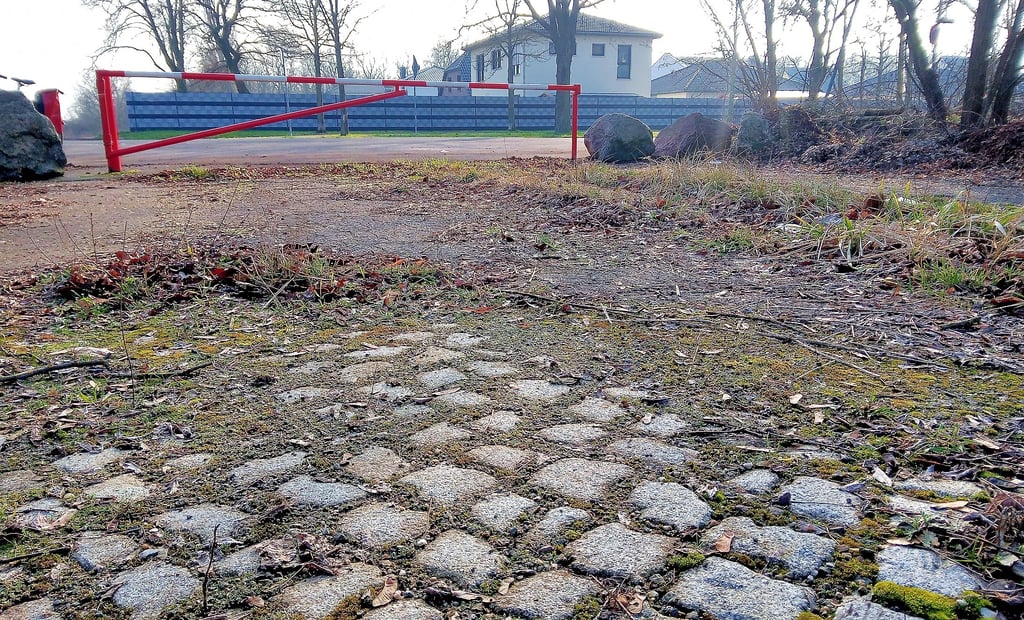 Ein Blick aufs Pflaster auf der Brache in der Breitscheidstraße zeigt: In früheren Jahrzehnten hatte hier nicht allein die Natur das Sagen. Im Stadtrat geht es nun darum, was aus dem Gelände werden soll.