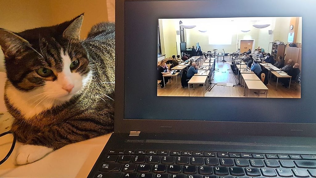 Die erste Live-Schalte des Stadtrates Osterburg. Juri ist gerne dabei, für ihn bewegt sich allerdings zu wenig auf dem Monitor.