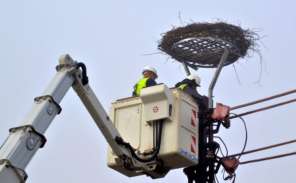 Das neue Nest hat über dem Strommasten einen – nun wieder sicheren - Platz eingenommen. Pascal Meyer (l.) und Alex Schiller haben das Storchennest „festgezurrt“.