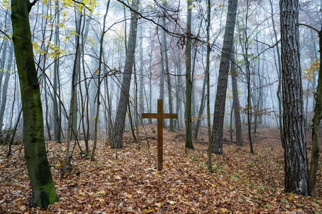 Ein Holzkreuz steht im Friedwald Burg Plesse bei Göttingen.