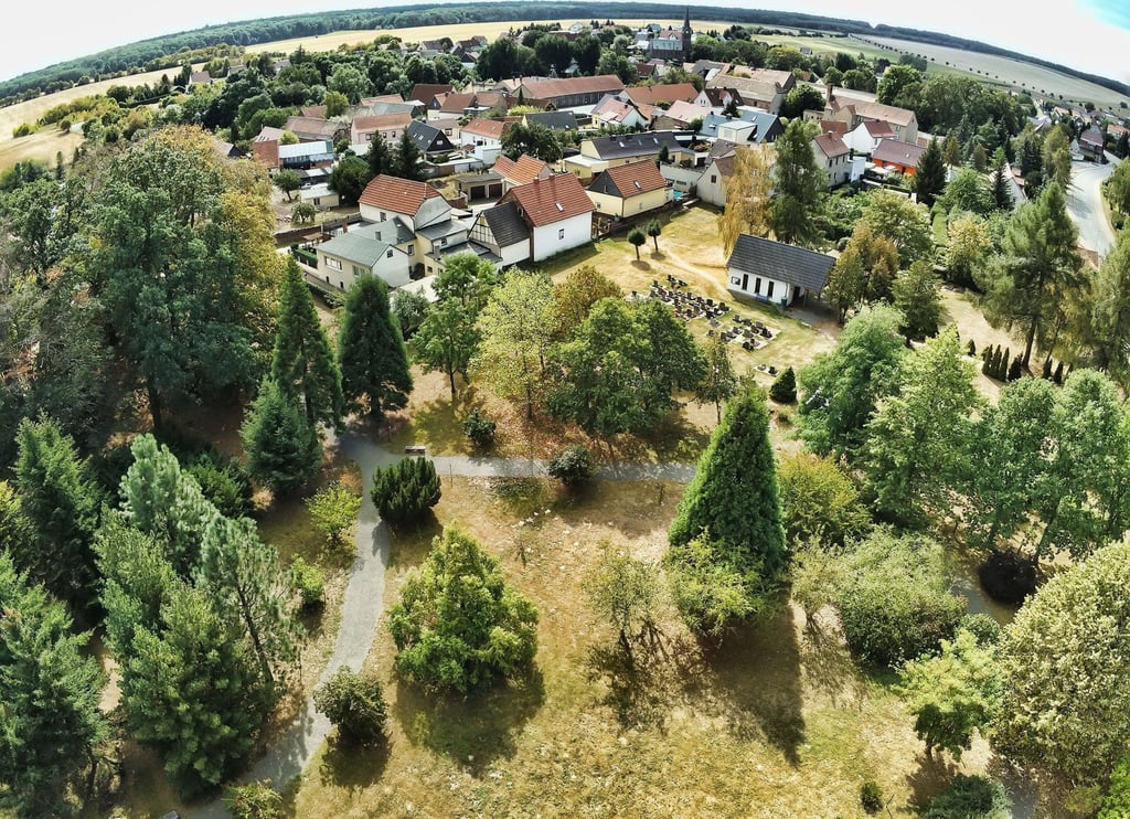 Symbolfoto - Blick auf das Arboretum in Annarode.