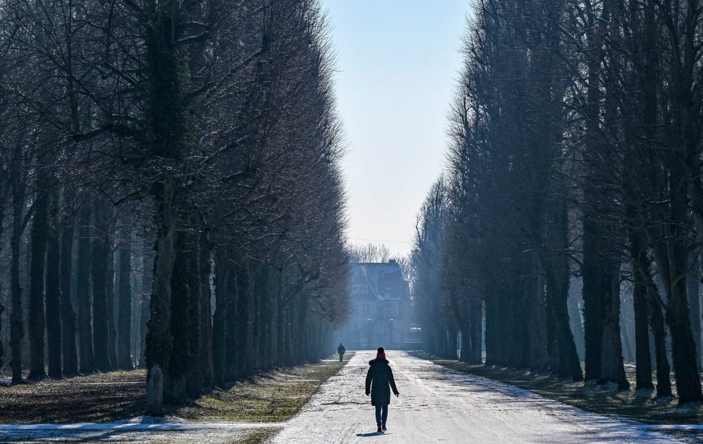 Spaziergänger sind bei Sonnenschein und blauem Himmel im Park Sanssouci unterwegs.