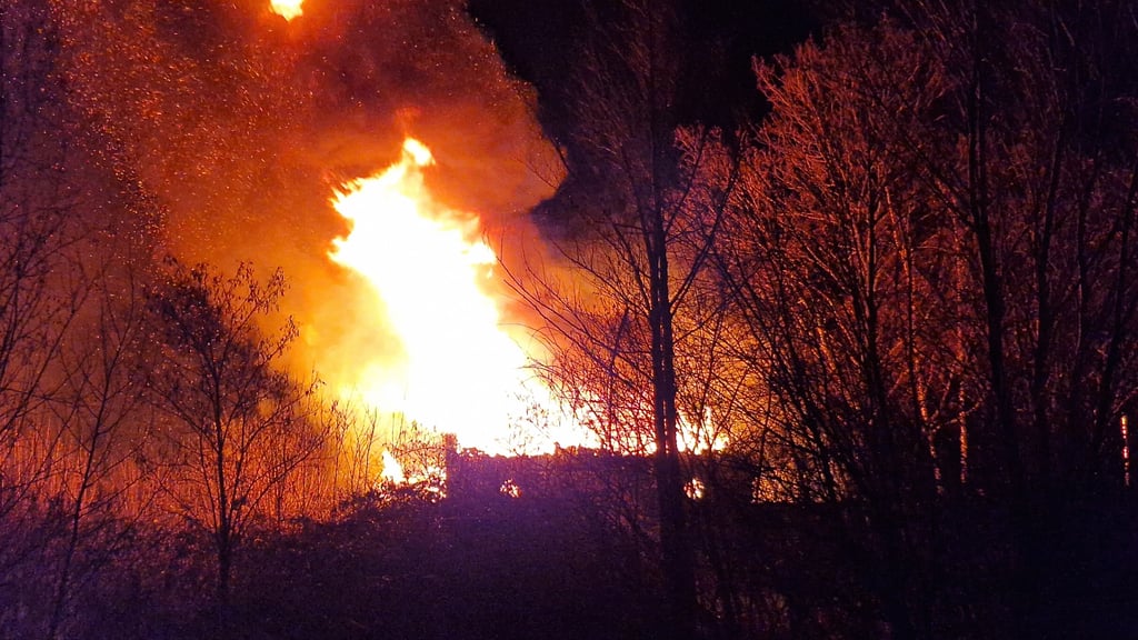 Die Flammen loderten in den Nachthimmel.