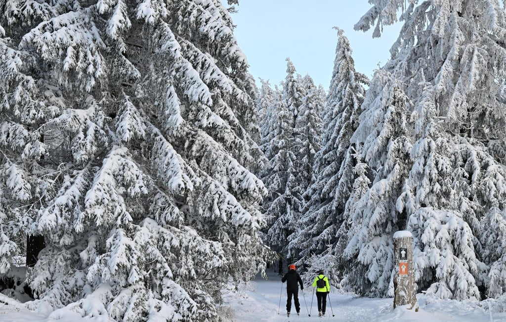 Im Thüringer Wald stehen mehr als 500 Kilometer Langlaufstrecken, 44 Winterwanderwege, 20 präparierte Rodelhänge und 8 Liftanlagen zur Verfügung. Jedoch sind viele Loipen nur noch eingeschränkt nutzbar.