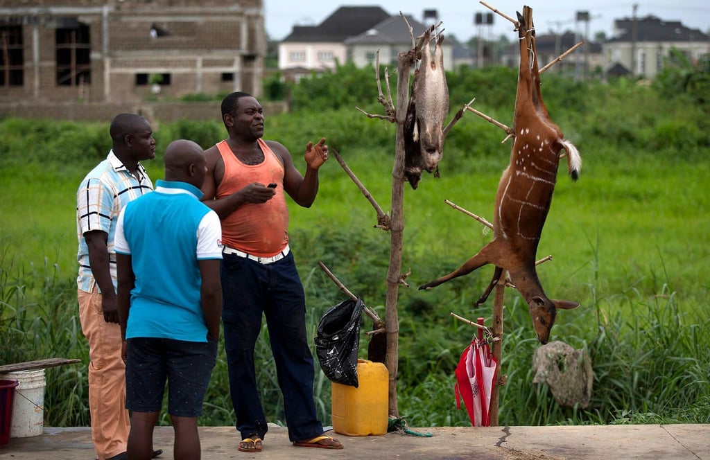 Ein Wildfleischhändler im nigerianischen Bundesstaat Bayelsa preist gegenüber potenziellen Kunden seine Ware an.