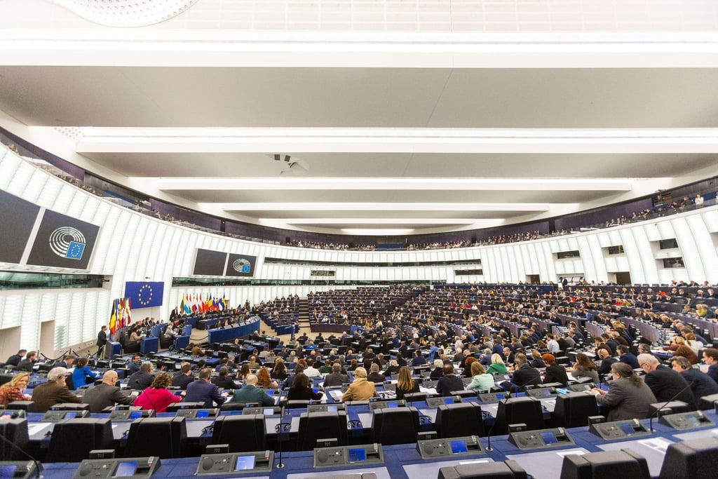Das Europäische Parlament in Straßburg: „Die Abgeordneten nehmen die Erklärungen nicht ernst“, so Transparency International.