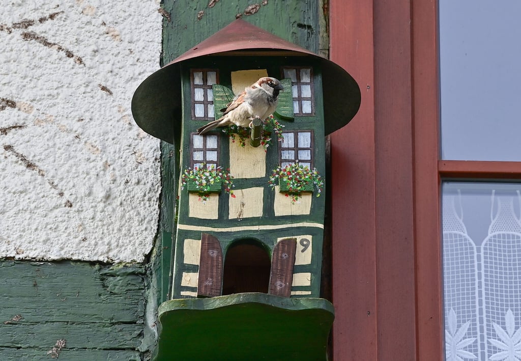 Im März gibt es neue Auktionen bei den Versteigerungen der Deutschen Grundstücksauktionen (dga). Auch in Sachsen-Anhalt stehen Objekte mit Geschichte zum Verkauf. Symbolbild: