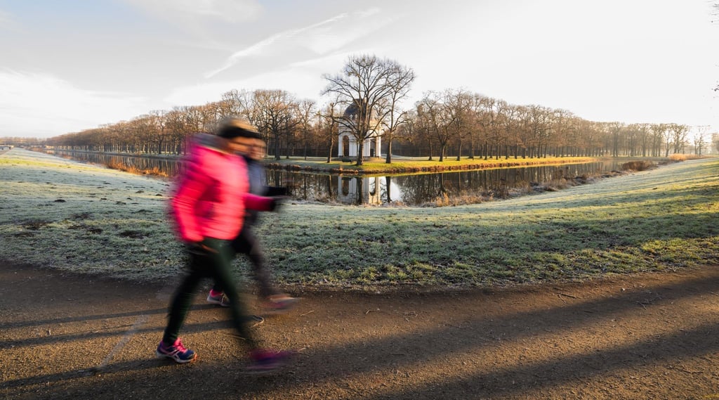 Zwei Frauen laufen eine Nordic-Walking-Runde in den Herrenhäuser Gärten in Hannover. Menschen in der EU bewegen sich laut OECD nicht genügend.