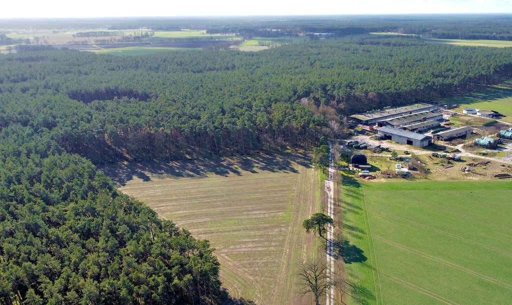 Der ländliche Weg, der von Auslosen auf direktem Weg nach Drösede führt, soll auf einer Länge von fast 2200 Metern in Betonspurbahnen mit befahrbarem Randstreifen und Ausweichstellen neu gebaut werden. Über das ALFF „Altmark“ wird das Vorhaben mit 90 Prozent gefördert.