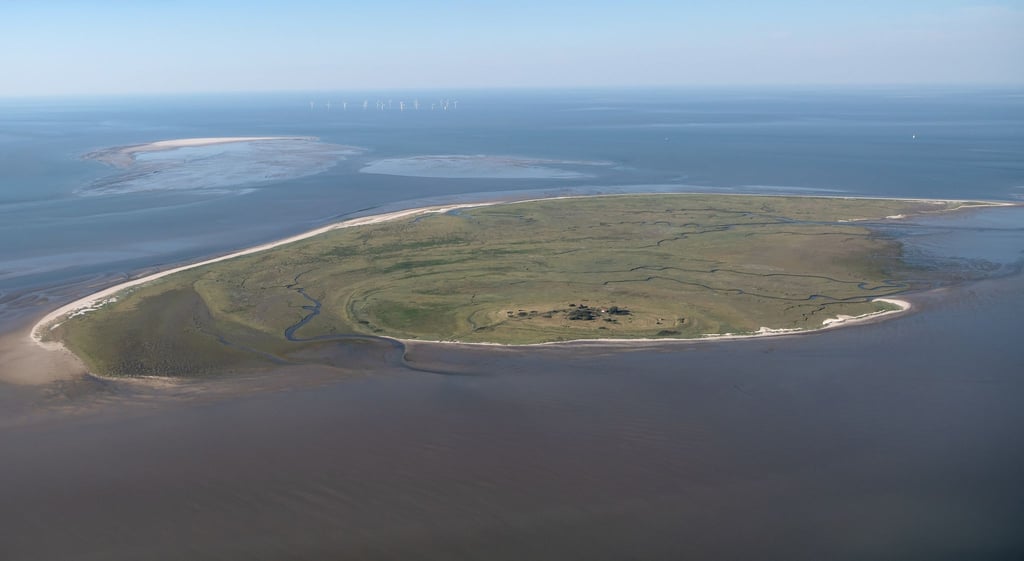 Die Nordseeinsel Mellum an einem sonnigen Tag.