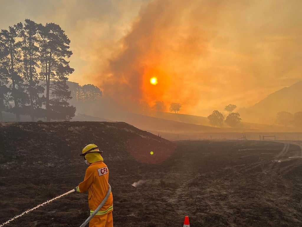Nahe der australischen Metropole Melbourne ist ein Grasfeuer außer Kontrolle geraten.