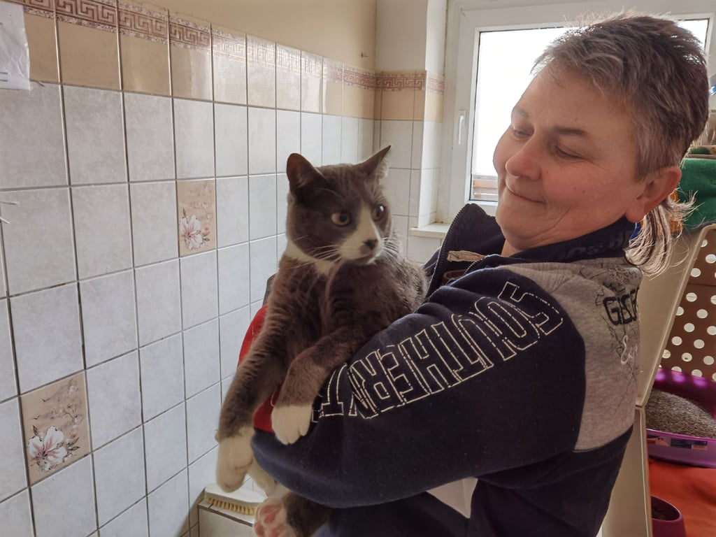 Birgit Sorge freut sich über die guten Nachrichten für Kater Nicki