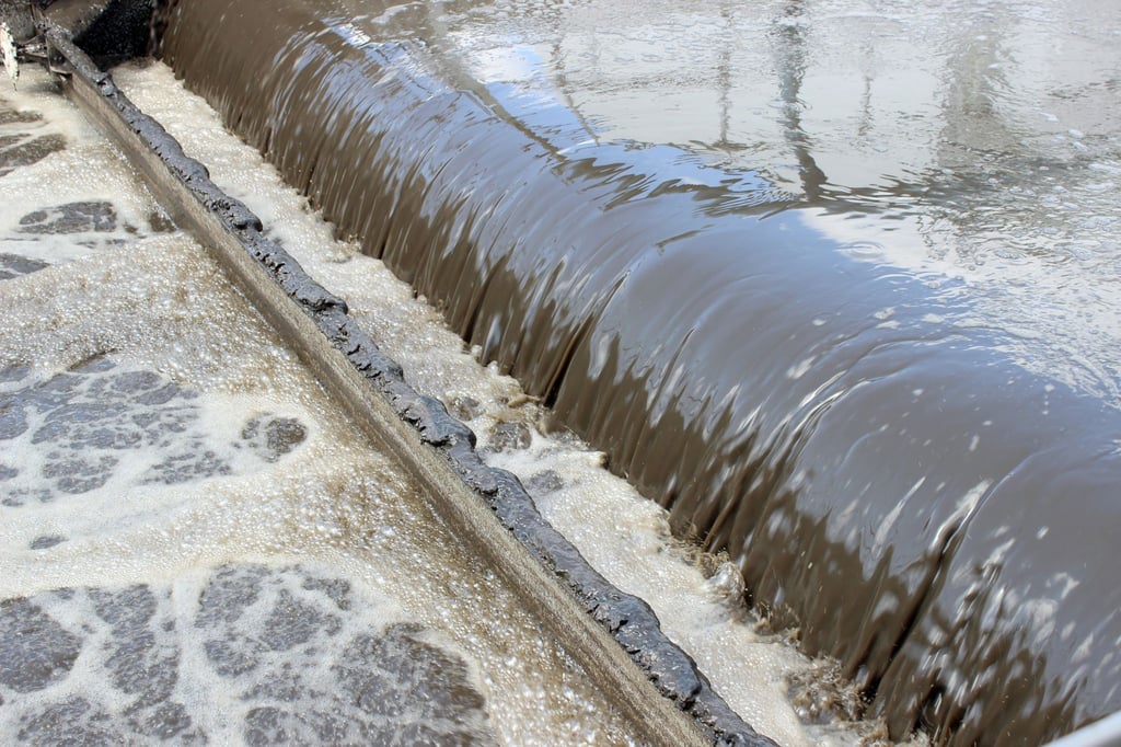 Einige PFAS finden unter anderem über Kläranlagen ihren Weg in Flüsse, Seen und Meere.