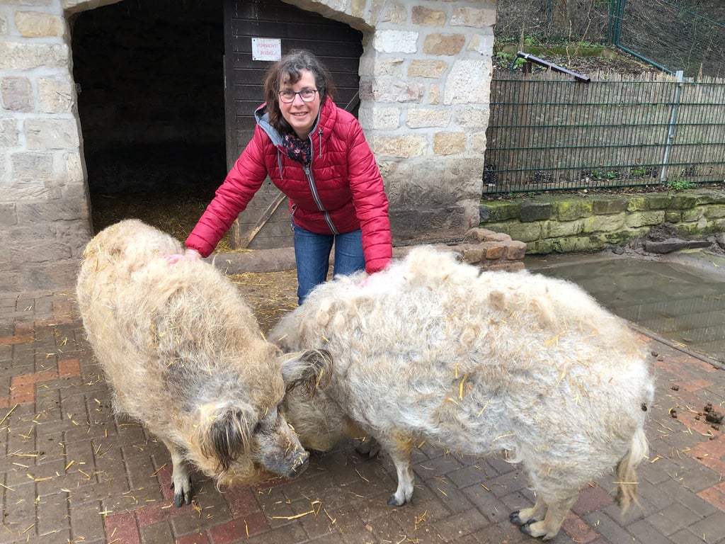 Leiterin Ute Radestock mit zwei Mangalica-Schweinen
