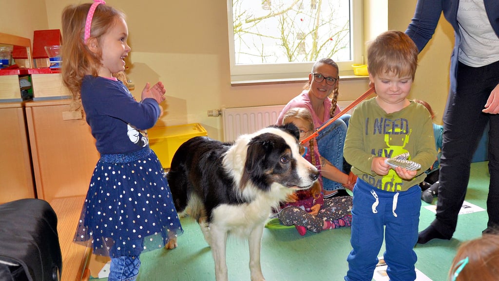 Ein besonderer Vormittag in der integrativen Kita Wawuschel in Oschersleben: Der Border Collie „Pinsel“ ist zu Besuch. Bei einem Suchspiel kommen sich Kinder und Hund näher.