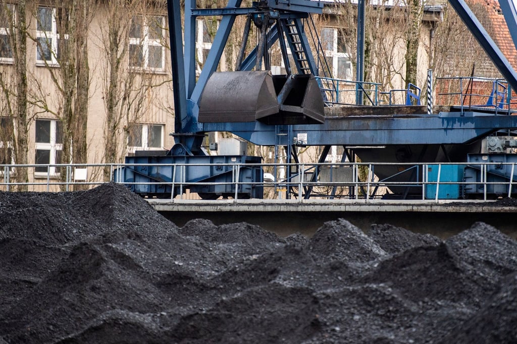 Vor einem Heizkraftwerk in Berlin-Schöneweide wird Steinkohle abgeladen. In der Energiekrise hat Deutschland im vergangenen Jahr mehr Steinkohle importiert.