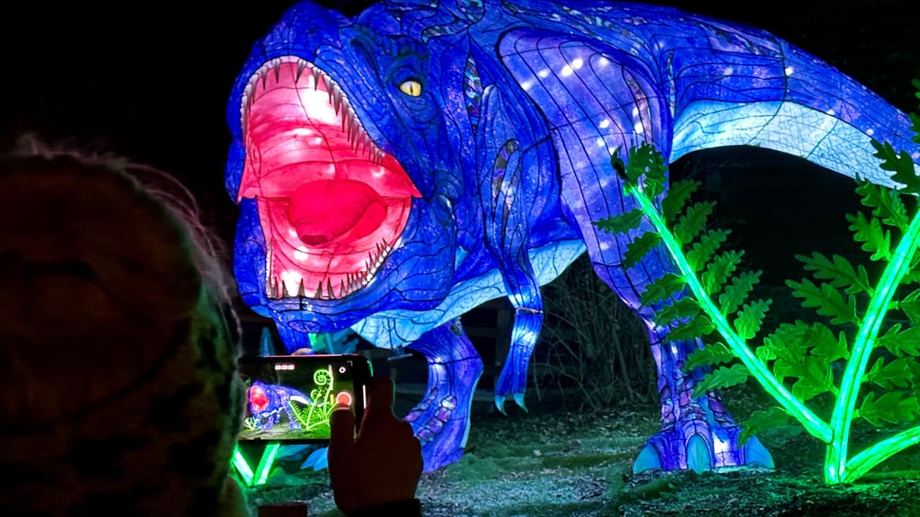 Ein letzter Schnappschuss vom blauen T-Rex: Die Saurier der Lichterwelten erwiesen sich als Zuschauermagnet.