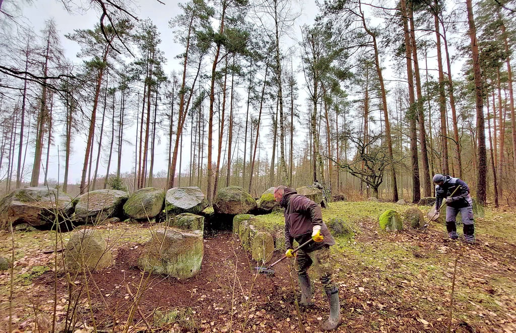Freiwillige haben das Hünengrab Küchentannen und weitere Großsteingräber bei Haldensleben von Gestrüpp, Laub und Totholz befreit.