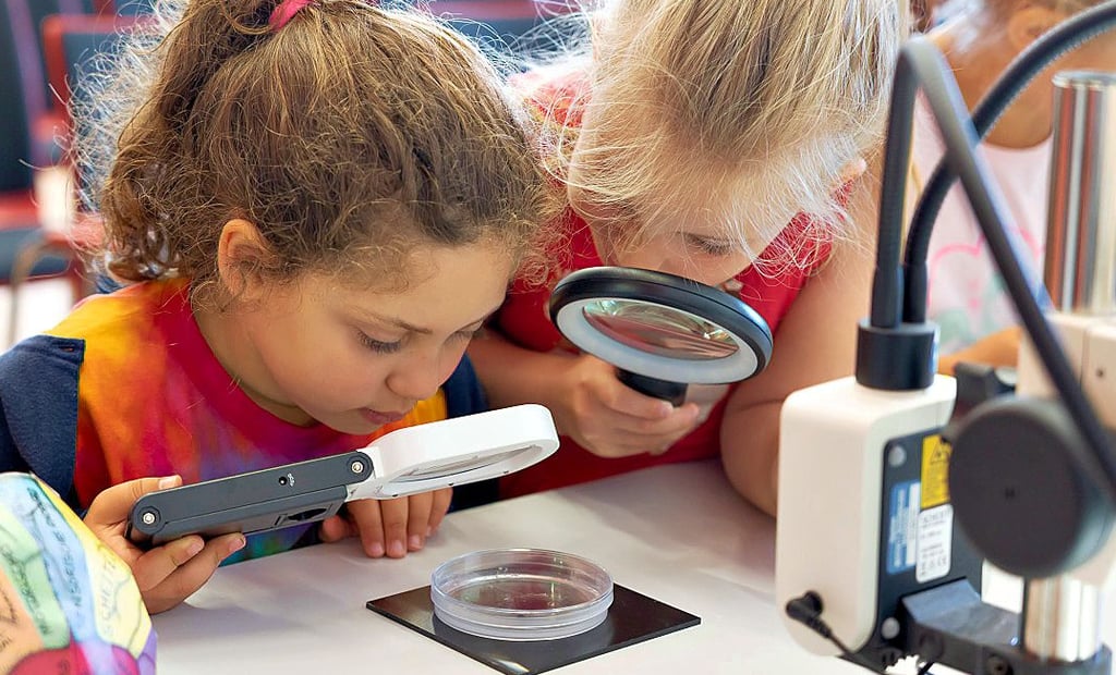 Im Leibniz-Institut für Neurobiologie wird auch den jüngsten Menschen aus Magdeburg und Umgebung die Forschung nahegebracht. Gelegenheit bietet die Lange Nacht der Wissenschaft am 3. Juni.