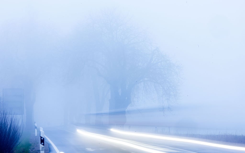 Wählen Autofahrer die falsche Beleuchtung bei Nebel, kann sich die Straße in eine weiße Wand verwandeln.