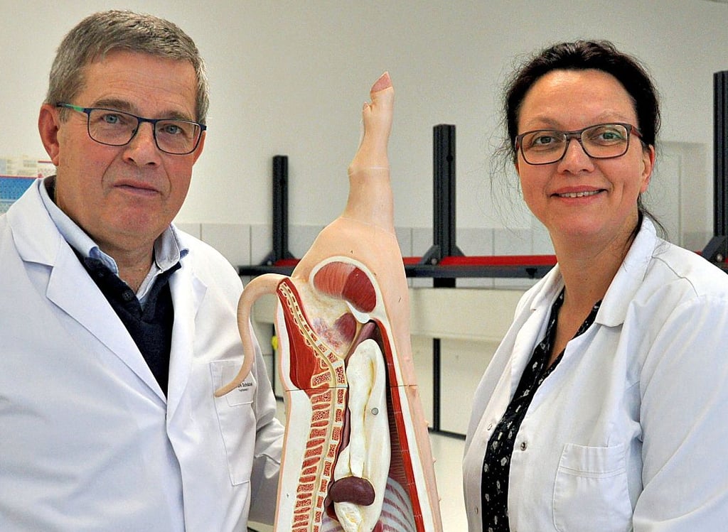 Die Lebensmittel- und Ernährungsforscher Wolfram Schnäckel und Sandra Warmuth tüfteln an der Hochschule Anhalt in Bernburg an Schweinefleisch aus Stammzellen.