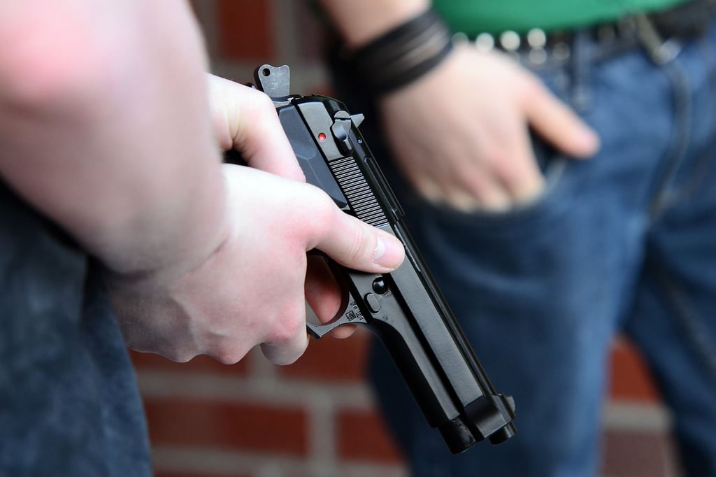 In der Straßenbahnlinie 10 in der Altstadt von Magdeburg: Ein Bewaffneter hat am Sonnabend mit Messer und Pistole zwei Magdeburger bedroht. Symbolbild: