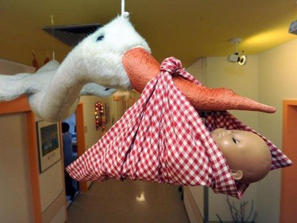 Der Klapperstorch findet wohl ab Mai in Zeitz keine Landebahn mehr. Alle Zeichen stehen auf Schließung von Entbindungs- und Kinderstation im Zeitzer SRH-Klinikum.
