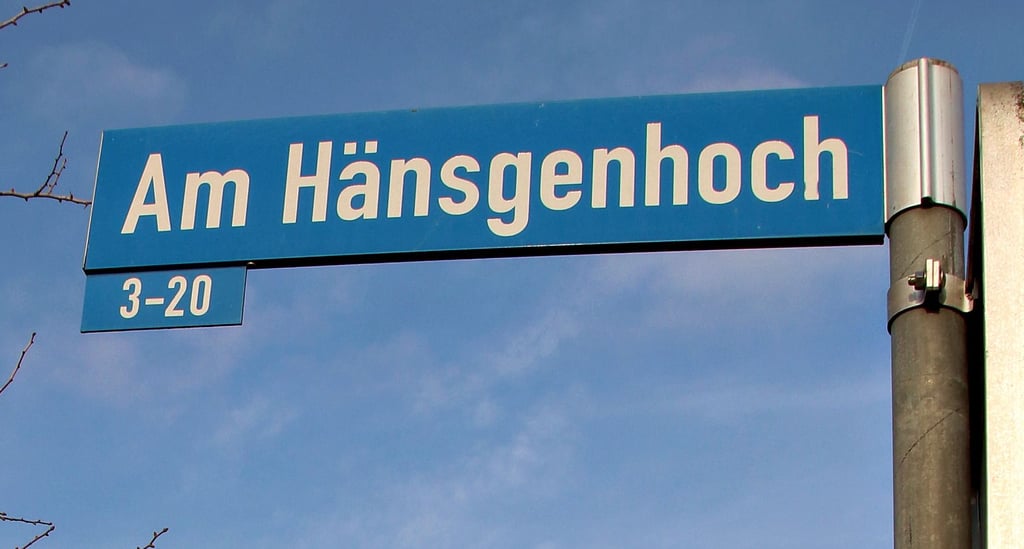 Hinter dem Wohngebiet Am Hänsgenhoch soll in der Zukunft eine weitere Fläche mit Einfamilienhäusern bebaut werden. Mehr als 50 Bauplätze soll es geben.