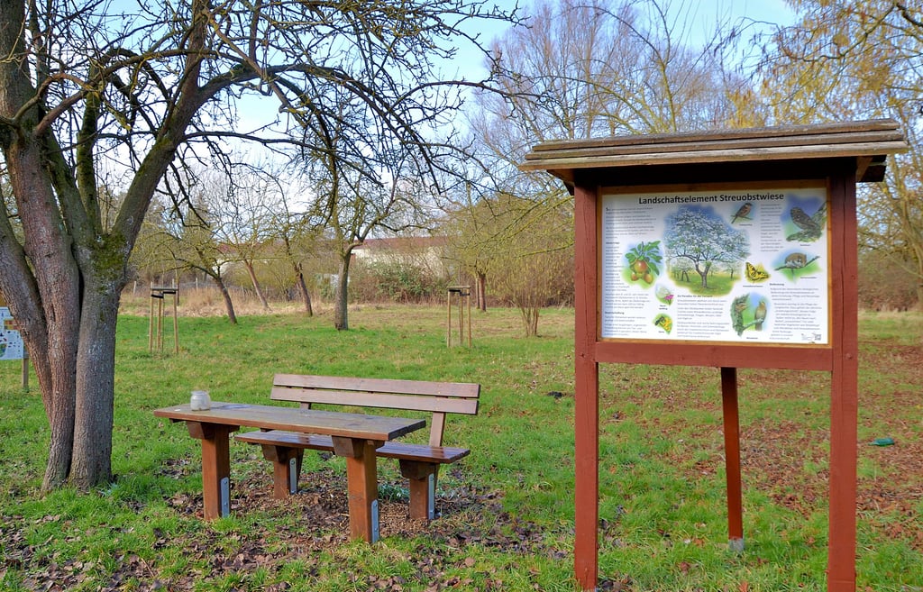 Umwelt und Naturschutz Diese Umweltprojekte sollen in Wulferstedt