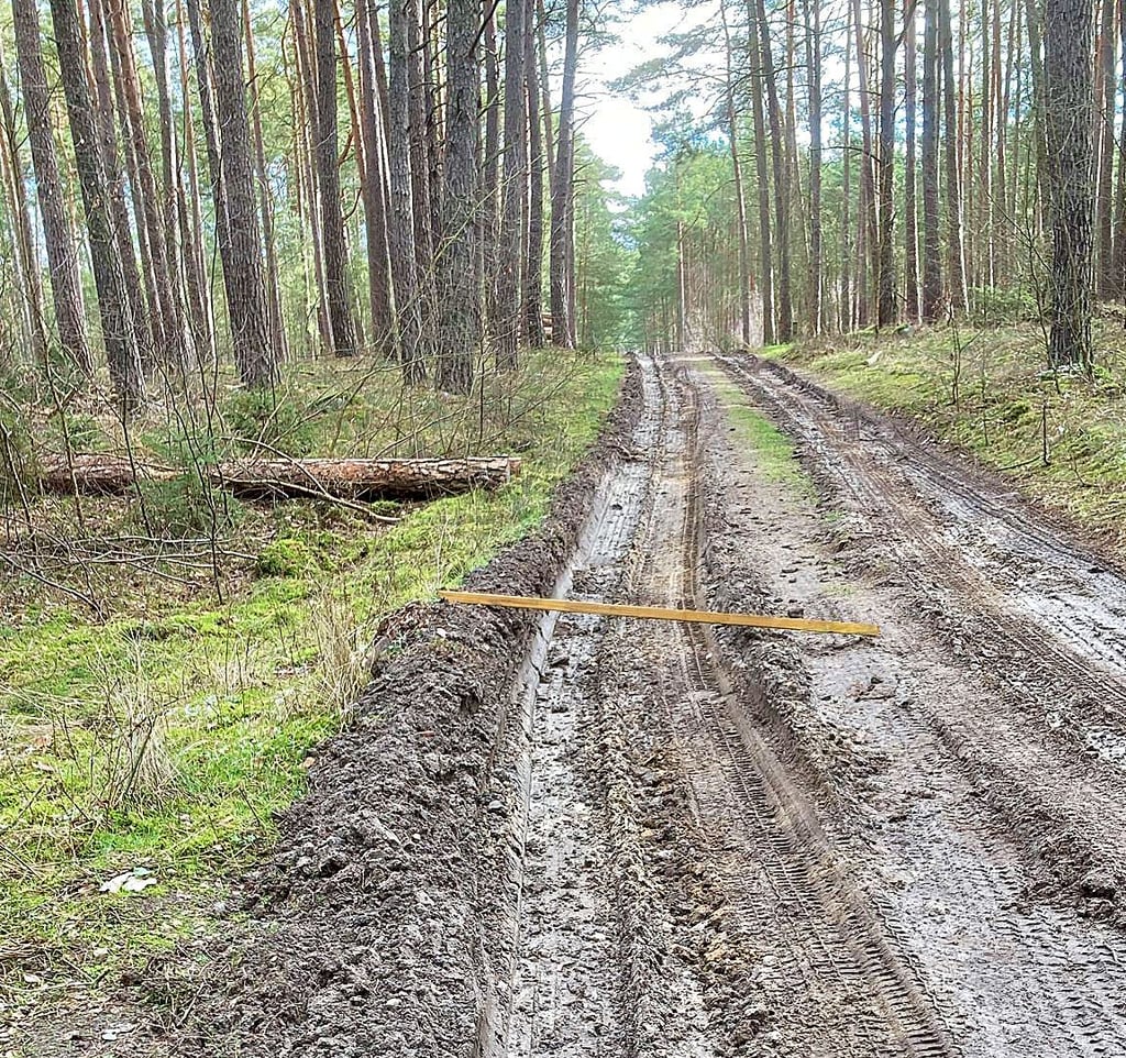 Nach der Abfuhr von Holz sind die Waldwege bei Ristedt zerfurcht. Die Fahrzeuge hinterließen tiefe Spuren.
