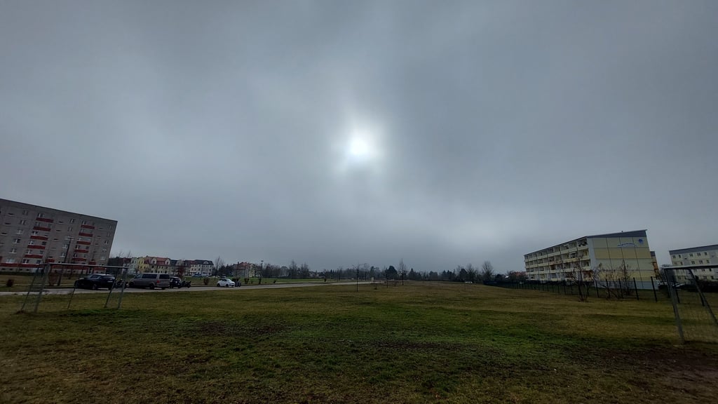 Auf dieser grünen Wiese sollen bis zu 60 Eigenheime in Staßfurt entstehen.