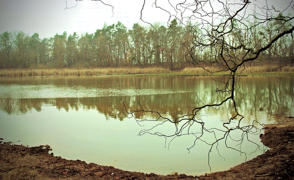 Aktuelle Aufnahme vom Himmelsteich: Die Niederschläge der vergangenen Wochen haben das Becken wieder wie erhofft angefüllt.