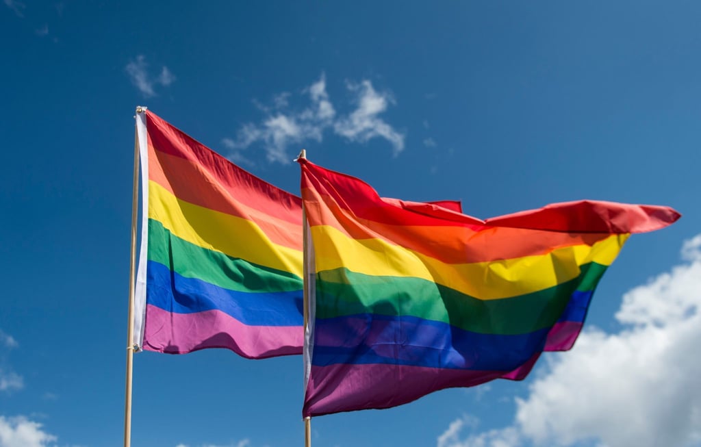 Regenbogenfahnen wehen im Wind.