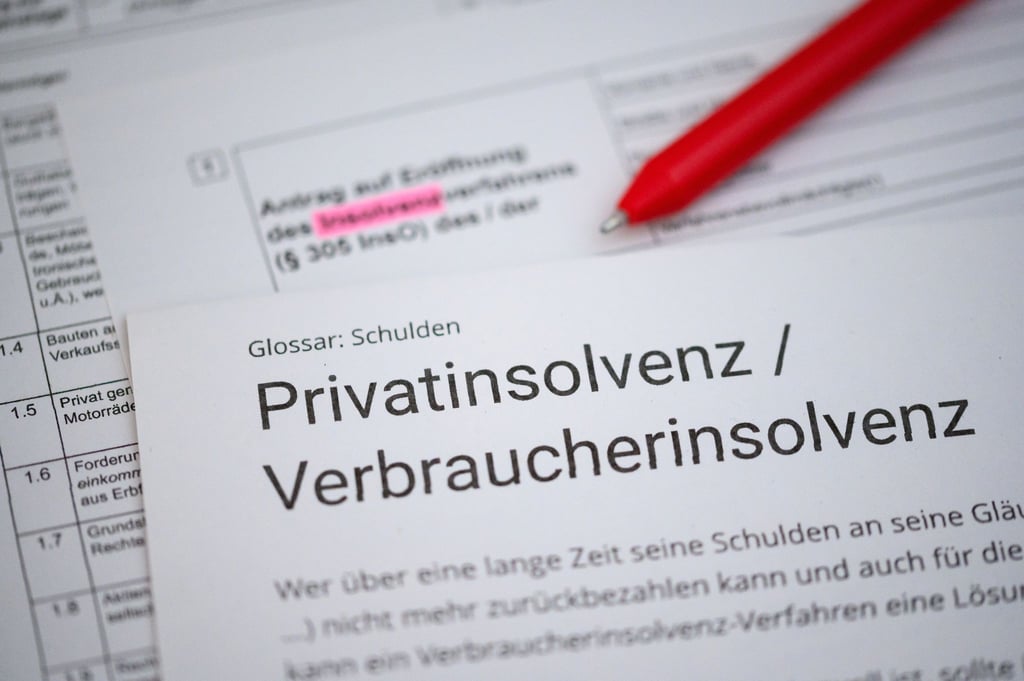 Ein Kugelschreiber liegt auf einem Antrag zur Eröffnung eines Insolvenzverfahrens und einem Informationstext über Privatinsolvenz / Verbraucherinsolvenz.