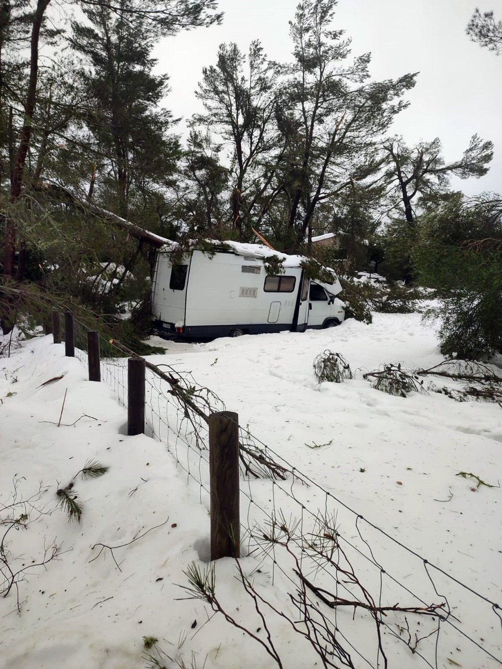 Im Norden von Mallorca ist ein Wohnmobil von einem durch Schnee eingestürzten Baum eingeklemmt. Eine Familie mit zwei kleinen Kindern konnte in Sicherheit gebracht werden.