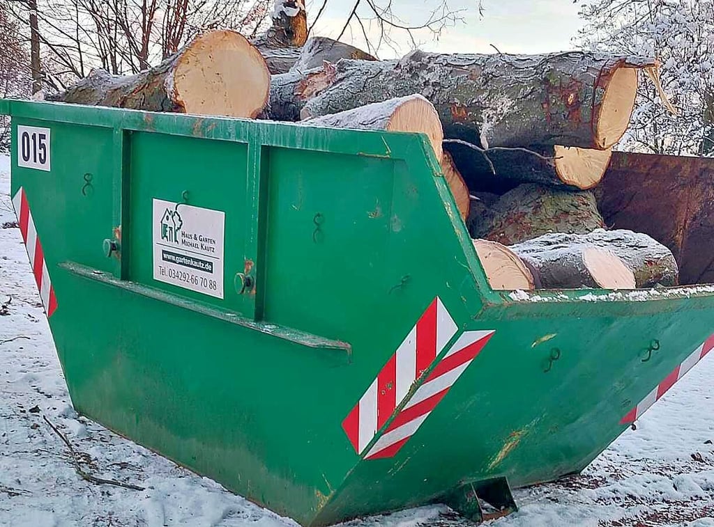 Die Baumsümpfe im Container sorgen für Unverständnis.