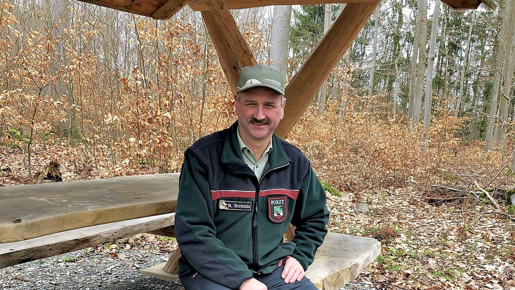 Bernhard Schidda hat sein Berufsleben im Wald verbracht.